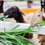 搜索 - 开云体育下载